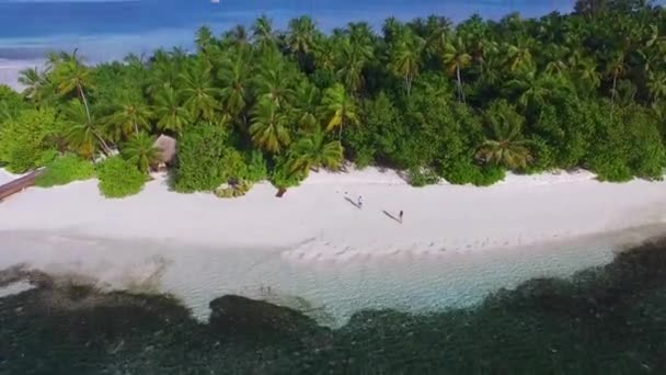 Letecký Pohled Tropický Ostrov Kokosovými Palmami Dřevěnými Vilami Bílým Pískem — Stock video