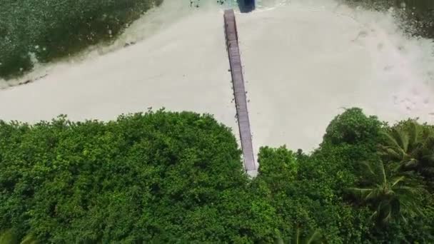 Aerial Top View Tropical Island Coco Palm Trees Wooden Villas — Stock Video