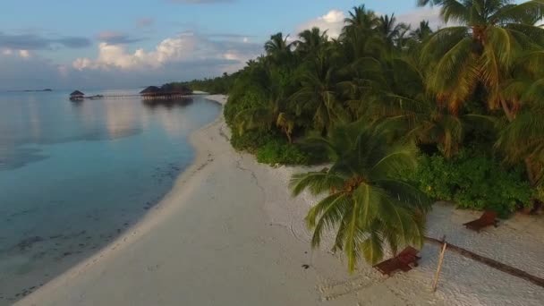 Aerial View Paradise Island Maldives Sunset View White Sand Coco — Stockvideo