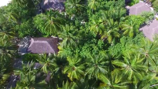 Luchtfoto Van Het Paradijselijke Eiland Malediven Wit Zand Kokospalmen Turquoise — Stockvideo