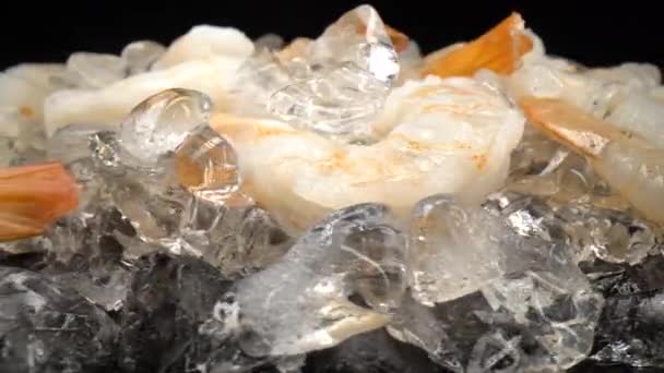 Crevettes Sur Glace Vue Rapprochée Assiette Pleine Crevettes Sur Glace — Video
