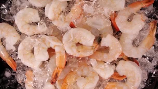 氷の上から見る船 砕いた氷の上にエビの完全なプレート 地中海料理の原料として新鮮で健康的な魚介類 魚市場またはレストラン — ストック動画