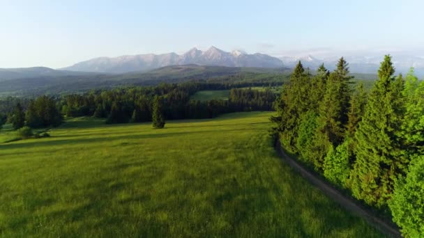 Bergantenne Tijdens Zomer Episch Uitzicht Luchtfoto Van Berglandschap Met Groen — Stockvideo