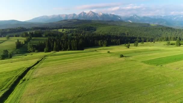 Cesta Vedoucí Hoře Letecký Výhled Letecký Pohled Horskou Krajinu Zeleným — Stock video
