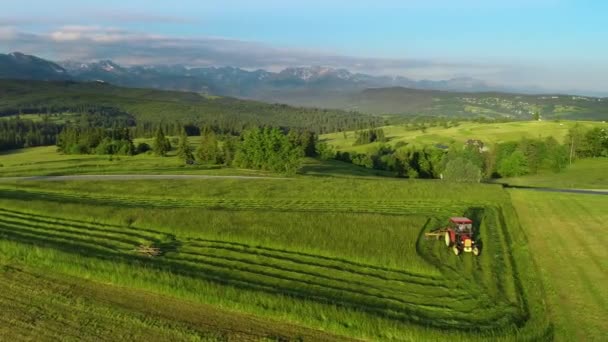 Traktor Seká Trávu Krásnými Vysokými Horami Pozadí Letecký Výhled Haymaking — Stock video