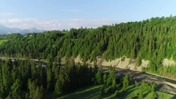 Aerial View Mountain River Flowing Green Valley Beautiful High Mountains — Stock videók