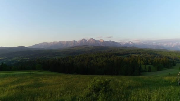 Fjällantenn Sommaren Storslagen Utsikt Flygfoto Över Bergslandskapet Med Grön Skog — Stockvideo