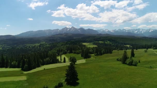 Montanha Aérea Durante Verão Vista Épica Vista Aérea Paisagem Montanhosa — Vídeo de Stock