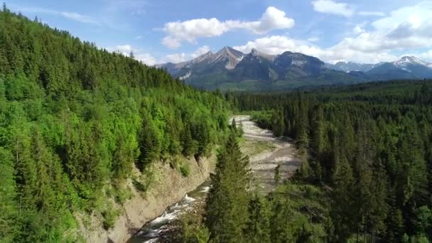 大きく美しい山の範囲と川の流れの空中ビュー 山や岩の小川につながる道路のシネマティックドローンビュー アルパインビュー — ストック動画