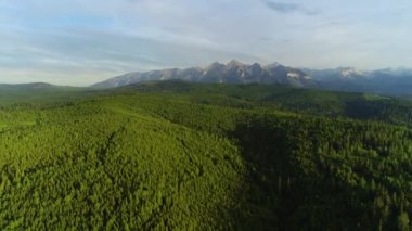Dağlar, hava manzarası. Canlı yeşil ormanlı yaz dağlarının insansız hava aracı görüntüleri. Güneşli bir günde Tatra yüksek dağları. Destansı dağ manzarası, bozulmamış manzara.