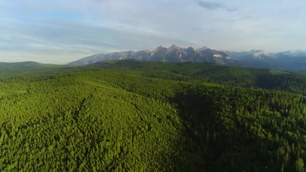 Montagne Aeree Vista Aerea Drone Colpo Paesaggio Montano Estivo Con — Video Stock