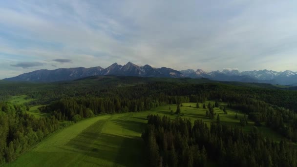 Weg Zum Berg Luftaufnahme Luftaufnahme Der Berglandschaft Mit Pfad Grünem — Stockvideo