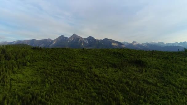 山の空中 空中ビュー 鮮やかな緑の森と夏の山の風景のドローンショット 晴れた日にタトラの高い山 高山の壮大な景色 手付かずの風景 — ストック動画