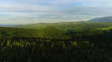 Dağlar, hava manzarası. Canlı yeşil ormanlı yaz dağlarının insansız hava aracı görüntüleri. Güneşli bir günde Tatra yüksek dağları. Destansı dağ manzarası, bozulmamış manzara.