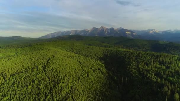 夏天的山地空中 壮丽的景色 有绿林和草地的山地景观的空中景观 日出后阳光灿烂的早晨 塔特拉山高耸 神奇高山风景的无人机镜头 — 图库视频影像