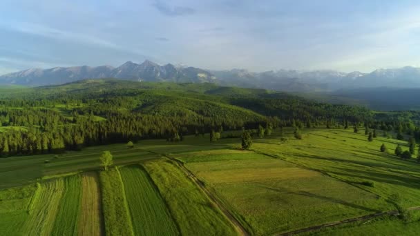 Horská Anténa Během Léta Nádherný Výhled Letecký Pohled Horskou Krajinu — Stock video
