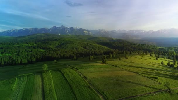 Panorama Aéreo Ampla Gama Altas Montanhas Verão Vista Panorâmica Colorida — Vídeo de Stock