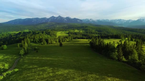 夏には高い山の広い範囲の空中パノラマ 牧歌的で手付かずの風景 山の中の谷のカラフルなパノラマビュー 緑豊かな植物と高山の景色 — ストック動画