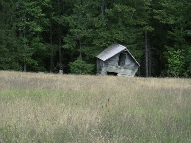 Çayırda dağılan saman yığını