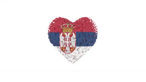 Serbii Dzień Narodowy Lutego Animacja Serca Matą Alfa Kwiaty Formujące — Wideo stockowe