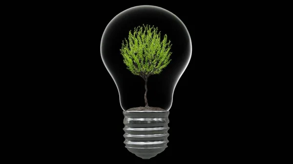 Lampadina Con Albero All Interno Sfondo Nero Green Energy Concept — Foto Stock