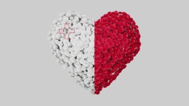 Malta Ulusal Günü. 21 Eylül. Bağımsızlık Günü. Alfa mat ile kalp animasyonu. Çiçekler kalp şeklini oluşturuyor. 3B görüntüleme.