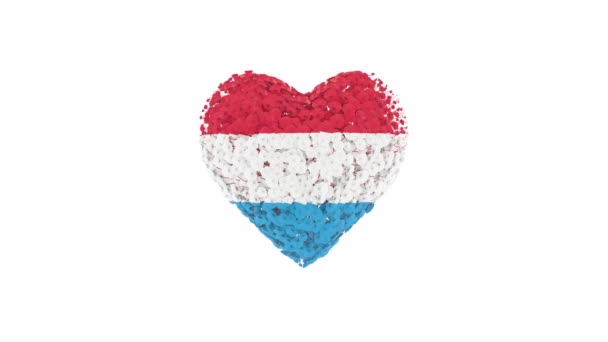 Dia Nacional Luxemburgo Aniversário Grão Duque Junho Animação Cardíaca Com — Vídeo de Stock