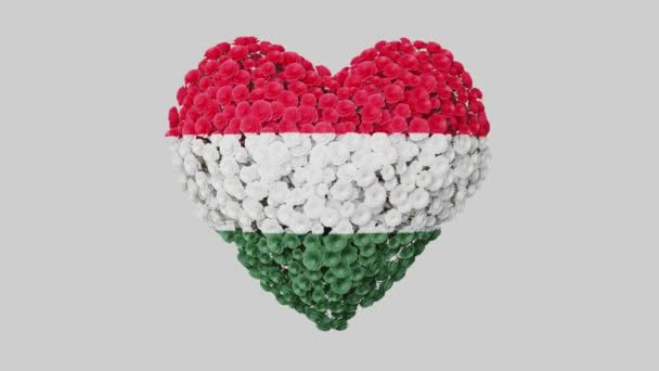 Fête Nationale Hongrie Mars Jour Révolution Indépendance Animation Cardiaque Avec — Video