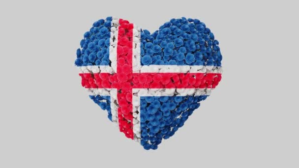 冰岛国庆节 六月十七日国庆节心脏动画与阿尔法马特 心形的花 3D渲染 — 图库视频影像