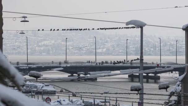 Timelapse Livlig Trafik Över Bron Vintern Täckt Med Snö Spårvagnar — Stockvideo