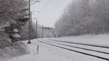 Ormanda kış mevsiminde, taze karla kaplı yerel tren. İsviçre treni. Zürih, İsviçre