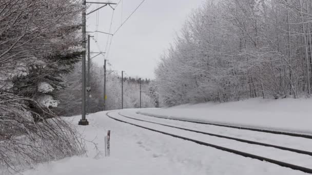 Timelapse Regionale Trein Winter Het Bos Bedekt Met Verse Sneeuw — Stockvideo