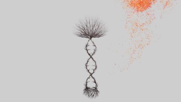 Dna鎖の形をした木を育てる 季節の移行 太陽の光が木を通して輝いている 夏から秋 エココンセプト 3Dレンダリング — ストック動画