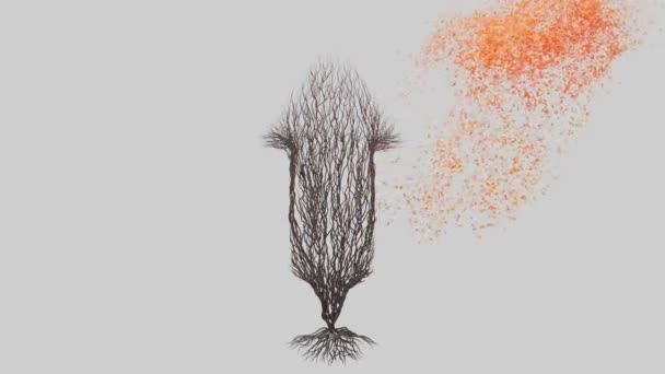 Καλλιέργεια Δέντρου Σχήμα Βέλους Εποχιακή Μετάβαση Ακτίνες Του Ήλιου Λάμπουν — Αρχείο Βίντεο