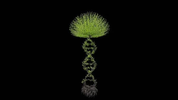 Tree Shape Dna Chain Seasonal Transition Black Background Eco Concept — Stock Photo, Image