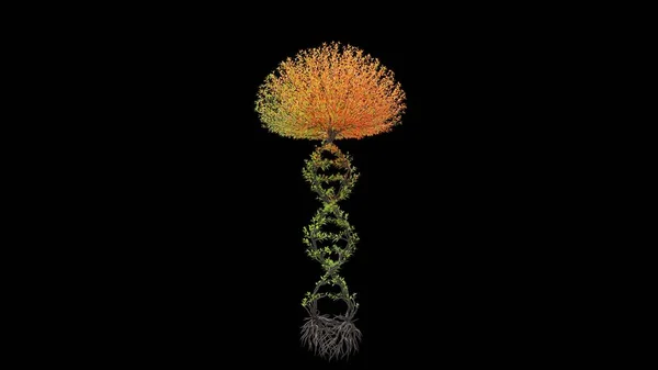 Strom Tvaru Řetězce Dna Sezónní Přechod Černém Pozadí Eco Concept — Stock fotografie