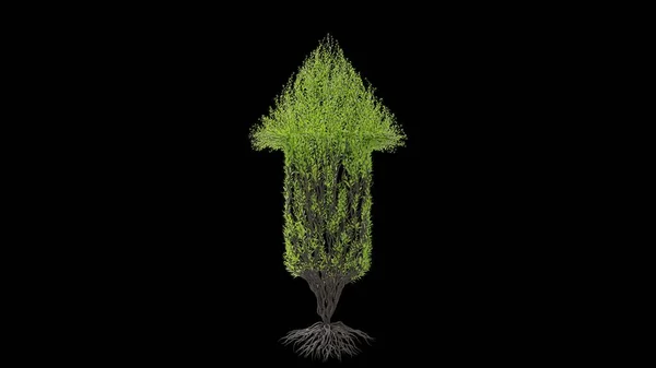 Δέντρο Σχήμα Βέλους Εποχιακή Μετάβαση Μαύρο Φόντο Οικολογικό Νόημα Απόδοση — Φωτογραφία Αρχείου