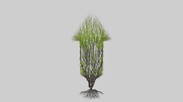 Copac Formă Săgeată Tranziția Sezonieră Fundal Alb Eco Concept Redare — Fotografie, imagine de stoc