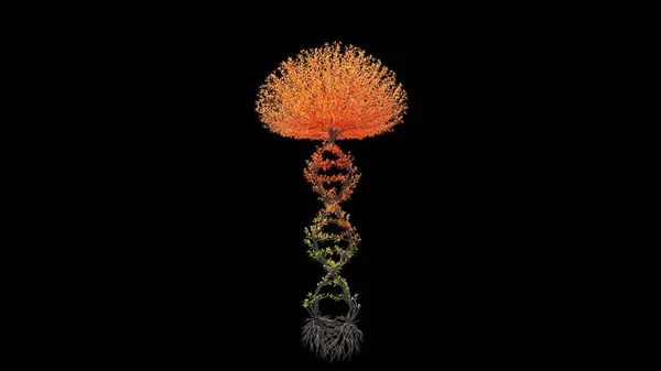 Δέντρο Σχήμα Αλυσίδας Dna Εποχιακή Μετάβαση Μαύρο Φόντο Οικολογικό Νόημα Εικόνα Αρχείου