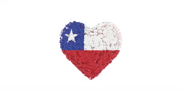 Dia Nacional Chile Setembro Animação Cardíaca Com Alfa Fosco Flores — Vídeo de Stock