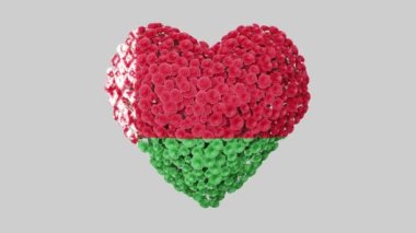 Belarus Ulusal Günü. Bağımsızlık Günü. Alfa mat ile kalp animasyonu. Çiçekler kalp şeklini oluşturuyor. 3B görüntüleme.