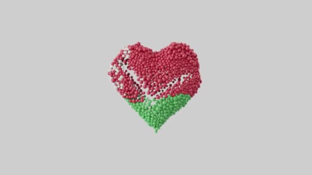 Běloruský Národní Den Den Nezávislosti Tvar Srdce Nablýskaných Koulí Srdeční — Stock video