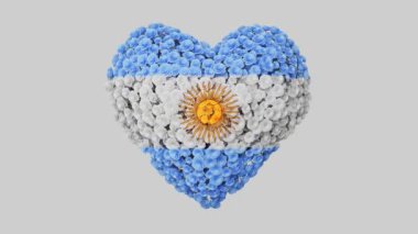 Arjantin Ulusal Günü. Bağımsızlık Günü. Alfa mat ile kalp animasyonu. Çiçekler kalp şeklini oluşturuyor. 3B görüntüleme.