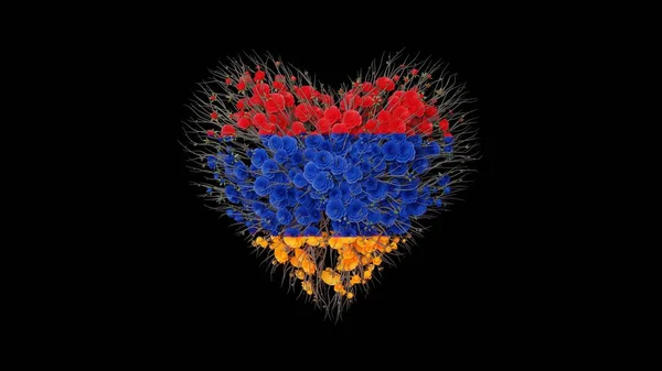 Armenië Nationale Dag Onafhankelijkheidsdag Hartvorm Gemaakt Van Bloemen Zwarte Achtergrond — Stockfoto