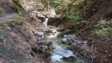 Iseltwald köyünün yakınındaki şelale. Şelale Adası, Canton Bern, İsviçre.