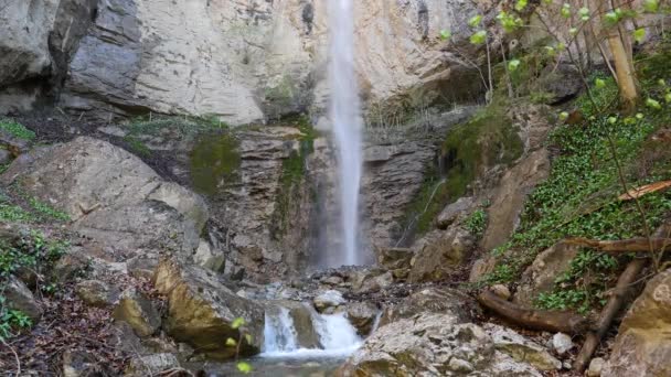 Водопад Возле Деревни Изельтвальд Waterfall Isch Canton Bern Швейцария — стоковое видео