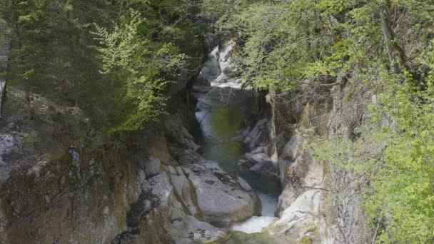 Agua Que Fluye Alrededor Formaciones Rocosas Escondidas Árboles Suiza — Vídeo de stock