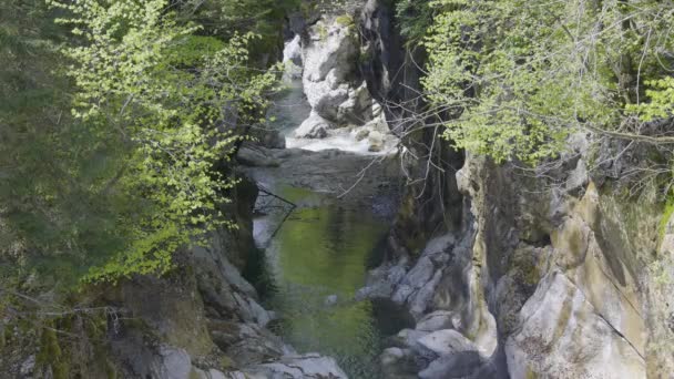 Wasser Fließt Felsformationen Herum Die Bäumen Versteckt Sind Schweiz — Stockvideo