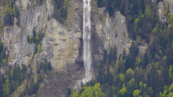 Wodospad Niedaleko Miasta Meiringen Wodospad Oltschibachfall Canton Bern Szwajcaria — Wideo stockowe