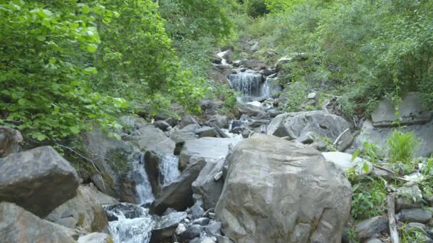Agua Fluye Alrededor Piedras Arroyo Las Montañas Suiza — Vídeos de Stock